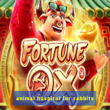 animal hospital for rabbits